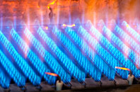 Penperlleni gas fired boilers